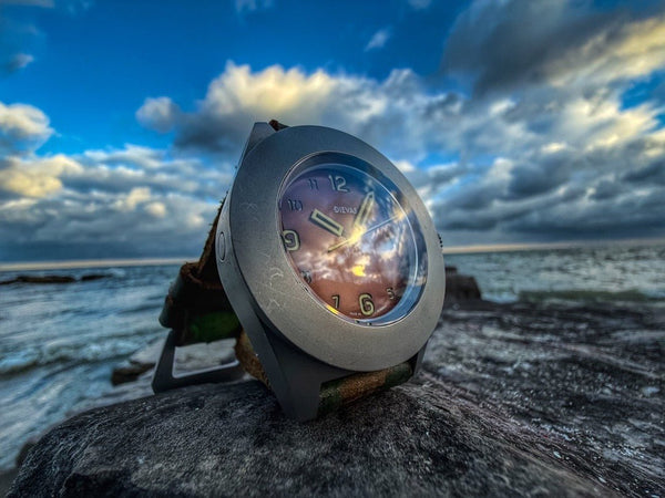 Dievas watches_in_nature