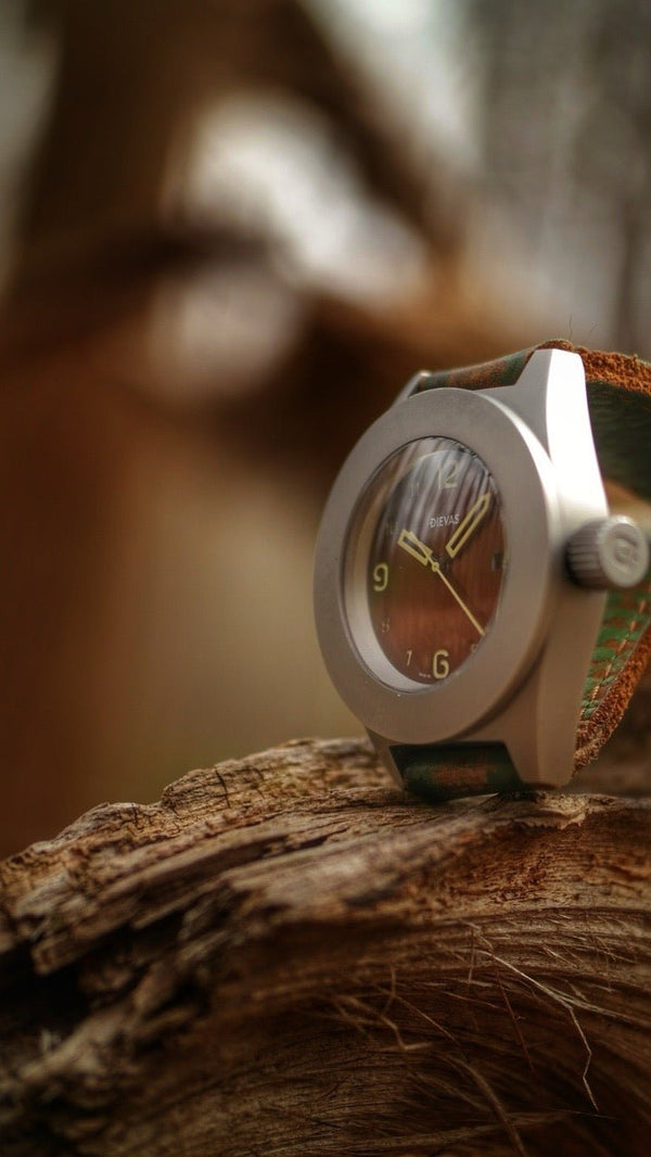 Dievas watches_in_nature