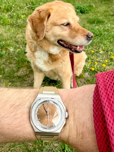 watchonmywristtoday's Yema Urban Traveller - Veloce - The App For Watch Collectors