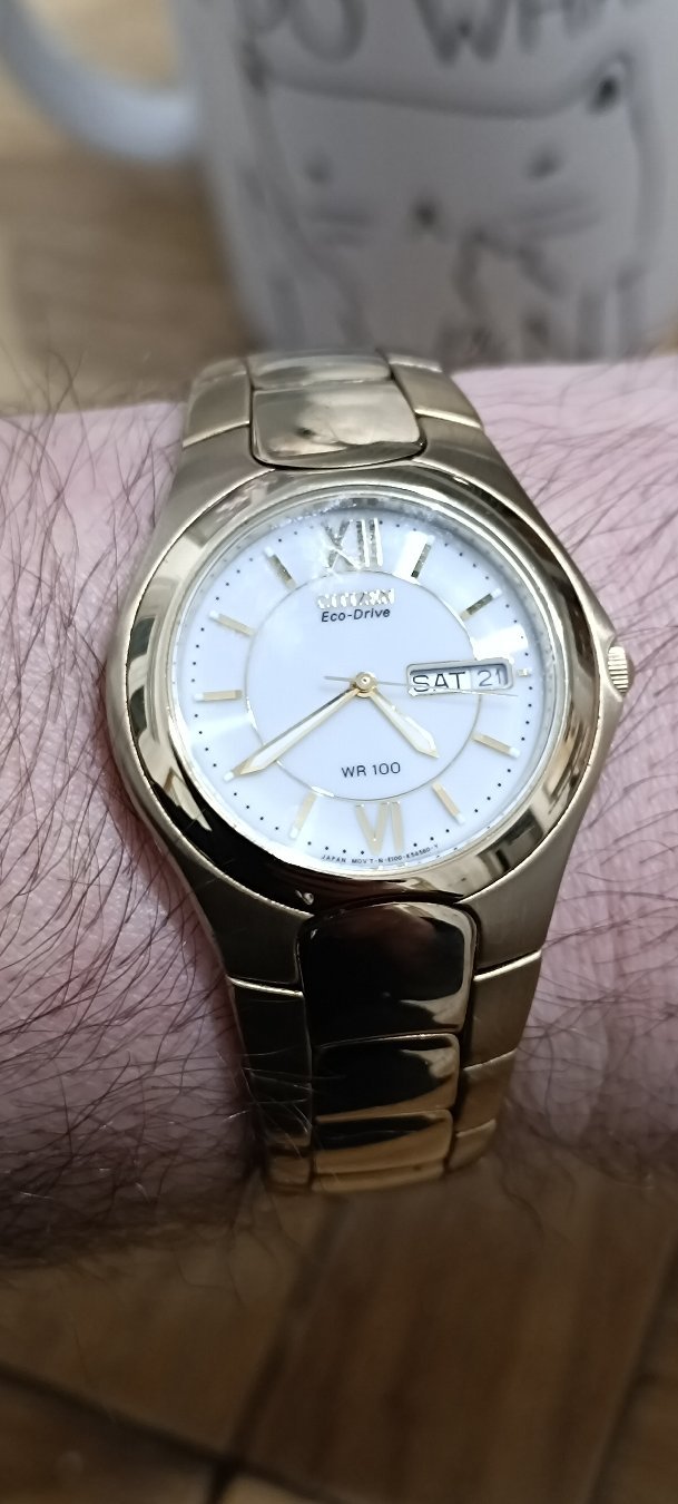 Citizen Citizen Eco-Drive WR 100