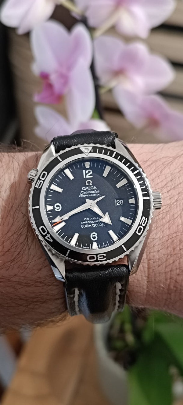 Omega Seamaster Planet Ocean 600m