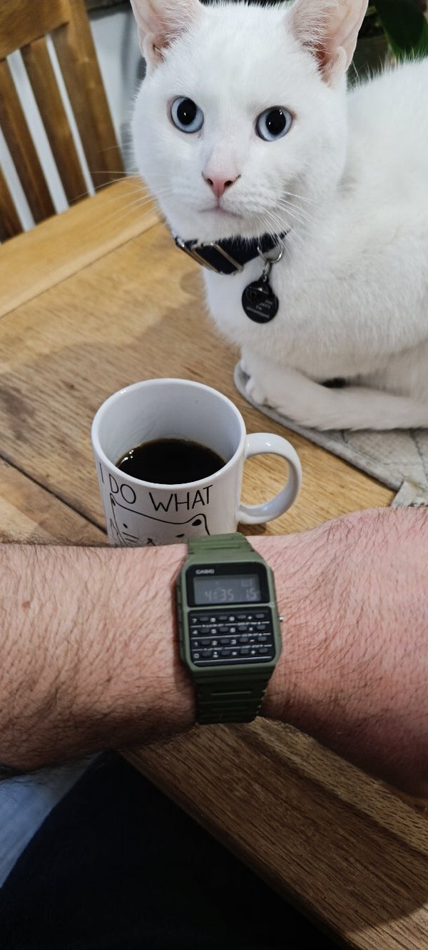 Casio CA-53WF