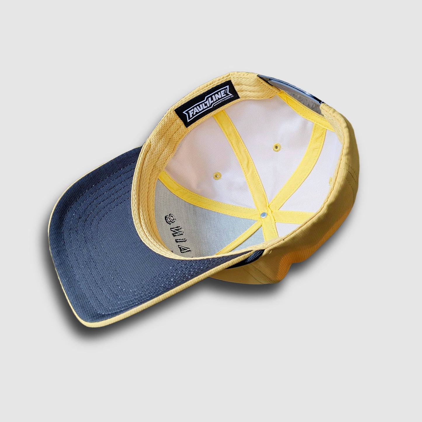 F395 Distant Brewing Mountains And Beer Snapback Dijon