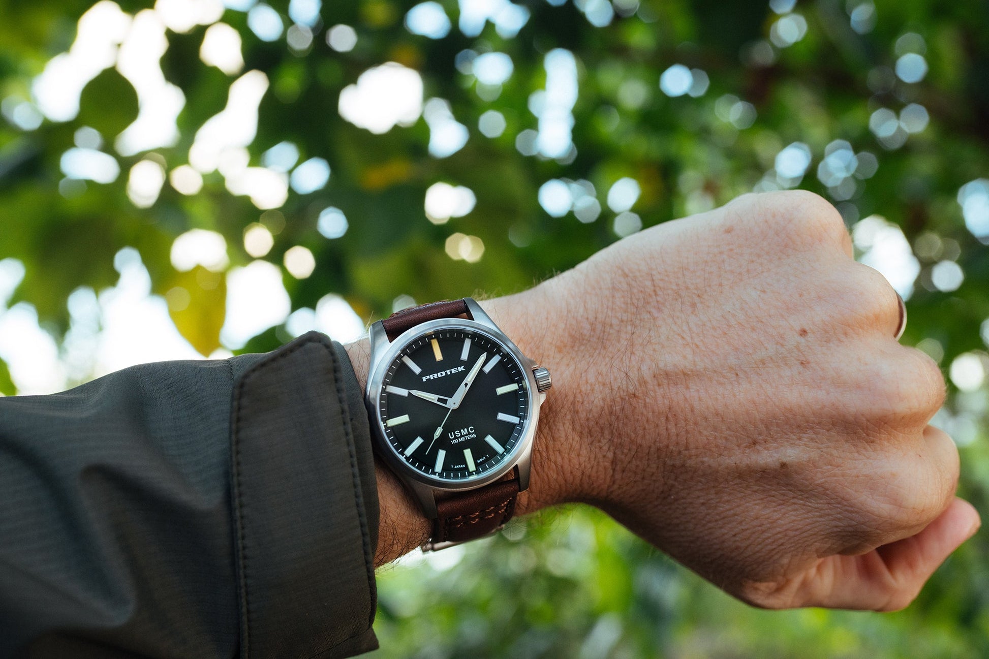 ProTek - Watch - Model PT3101 - Veloce - The App For Watch Collectors