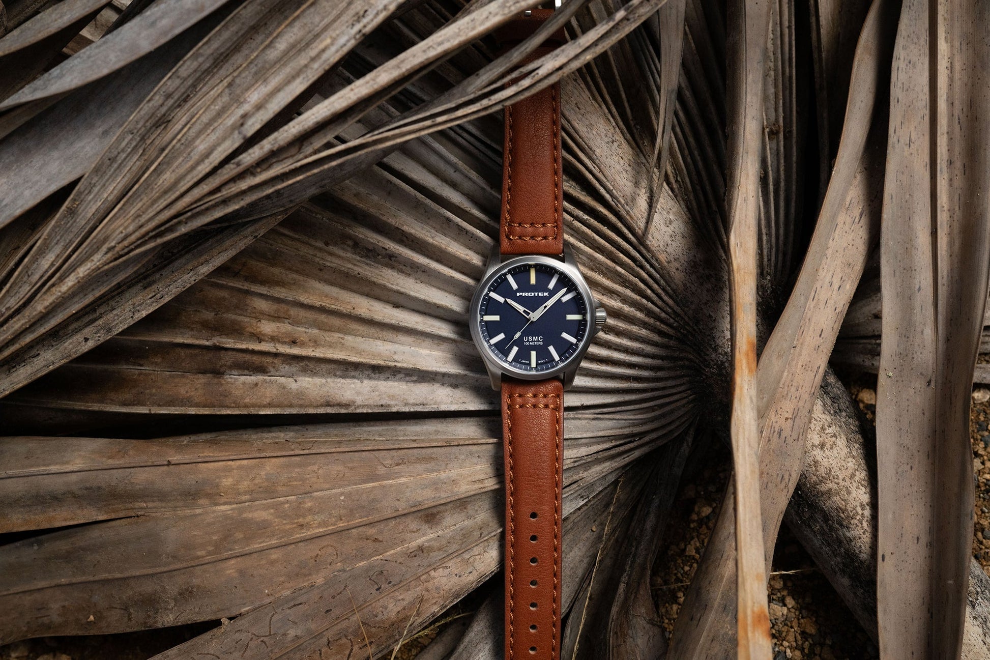 ProTek - Watch - Model PT3103 - Veloce - The App For Watch Collectors