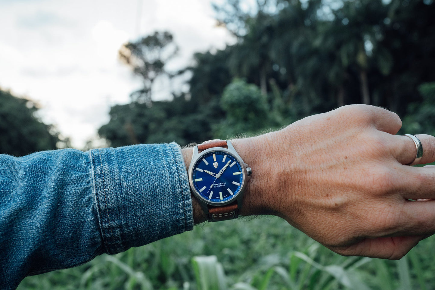 ProTek - Watch - Model PT3003 - Veloce - The App For Watch Collectors